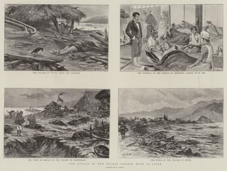 The Effect of the Recent Seismic Wave in Japan